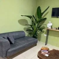پزشک مسئول فنی کلینیک زیبایی