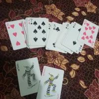 پاستور|کلکسیون و سرگرمی|مینودشت, |دیوار