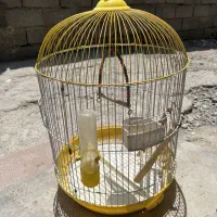 قفس پرنده