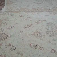 فرش قالی ۱۲متری جفت کرم سالم و پر گوشت