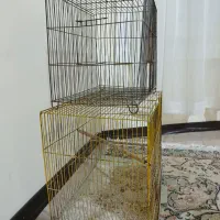 قفس مرغ عشق،طوطی،قناری|لوازم جانبی حیوانات|آمل, |دیوار