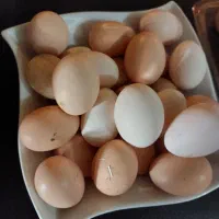 تخم مرغ محلی ارگانیک|خوردنی و آشامیدنی|کرج, دهقان ویلا|دیوار