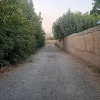 فروش-کارگاه