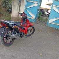 موتور ویو پیشرو ۱۳۵ با تخفیف مدل ۹۴ ارزان ارزان|موتورسیکلت|تالش, هشتپر|دیوار