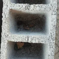 همکاری در کارگاه بلوک زنی