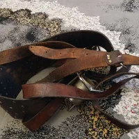 هیکلی علامت
