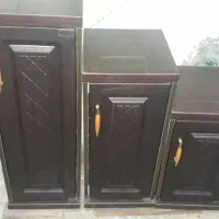 جاکفشی سالم