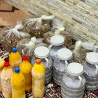 هلینه چرخ شده کنجدی ساده کنجدی