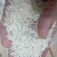 برنج صدری دمسیاه|خوردنی و آشامیدنی|تهران, ترمینال غرب|دیوار