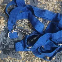 وسایل پت|لوازم جانبی حیوانات|شیراز, محراب|دیوار