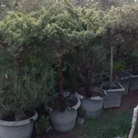 کارگر ساده ایرانی یا اتباع برای باغبانی|استخدام صنعتی، فنی، مهندسی|تهران, اتحاد|دیوار