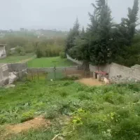 فروش زمین کلاردشت ( کلنو )
