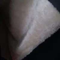 پالتو و بارانی و کاپشن و شال|لباس|تبریز, |دیوار