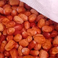 پودر سنجد با هسته و پوست و گوشت کاملابهداشتی