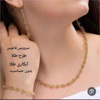 فروش انواع بدلیجات استیل رنگ ثابت|بدلیجات|تهران, آجودانیه|دیوار