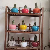 استند گل