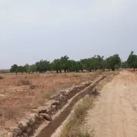 فروش زمین مزرعه|فروش دفتر صنعتی، کشاورزی، تجاری|تفت, |دیوار