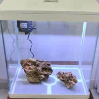 آکواریوم دلسا مدل k390|ماهی|کرج, ساسانی (قلمستان)|دیوار