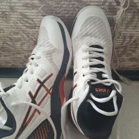 کفش والیبال اسیکس