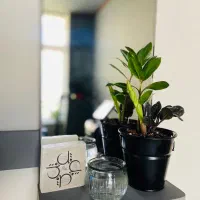 استخدام دستیارخانم مسلط به تزریقات جهت مطب زیبایی