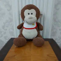 حراج|حراج|تهران, شهران جنوبی|دیوار