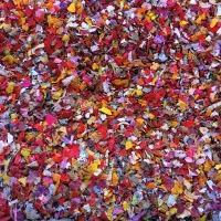 انواع سبد کارتن موزی مواد دوره ای