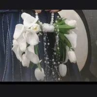 گل عروس جدید