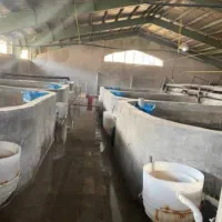 اجاره پرورش ماهی مداربسته کاملا مجهز