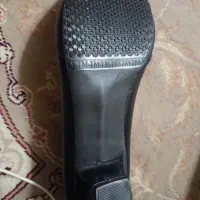 زنانه|کیف، کفش، کمربند|تبریز, |دیوار