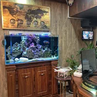 جذب مشاورین با انگیزه مبتدی و حرفه ای|استخدام بازاریابی و فروش|پرند, فاز ۲|دیوار