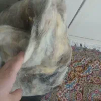 پشم و تشک پشمی|رختخواب، بالش، پتو|فولادشهر, B2|دیوار