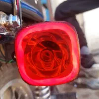 راهنما نئون دار