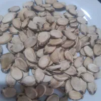 تخمه هندوانه کدویی بذری