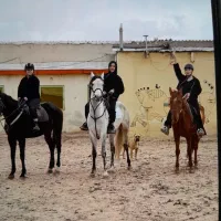 کلاس سوارکاری و پانسیون اسب