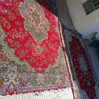 سه تخته فرش ۱۲متری|فرش|ایلام, |دیوار