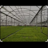 گلخانه-فعال-2700-متری-در-نهاوند