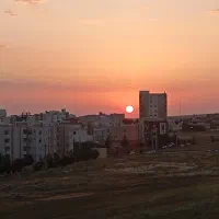 فروش سیم کارت ۹۱۹