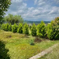 این-زمین-حکم-طلاست-سنددار-پلاک-210متری