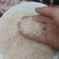 برنج فجر درجه یک وعالی از دهنه زرین گل خوش عطر|عمدهفروشی|مزرعه کتول, |دیوار