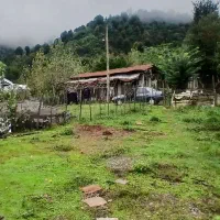 خانه سنتی تالار دار جنگلی ویو دار|فروش خانه و ویلا|احمدسرگوراب, |دیوار