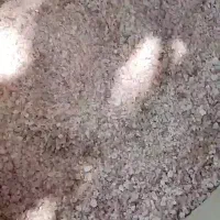 انواع نمک از بسته بندی تا سنگ نمک|خوردنی و آشامیدنی|تربت‌حیدریه, بوستان باغ ملی|دیوار