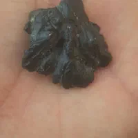 شهاب سنگ|کلکسیون اشیاء عتیقه|حمیدیا, |دیوار