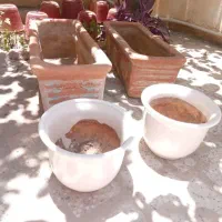 گلدان نقش دار و ساده .