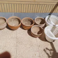 ۴عدد گلدان سفالی متوسط و ۳عدد گلدان سفالی بزرگ|گل و گیاه طبیعی|اصفهان, ملک‌شهر|دیوار