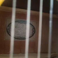 گیتار فروشی|گیتار، بیس، امپلیفایر|گلپایگان, |دیوار