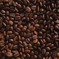 فروش قهوه ۱۰۰٪ روبوستا تلخی قوی، کافئین انفجاری