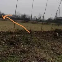 زمین مسکونی 600 متری