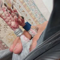 کفتر پلاکی|حیوانات|نهاوند, |دیوار