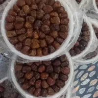 خرما برحی ابادان