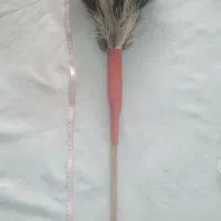 گردگیر پر شترمرغ|لوازم نظافت|کرج, حصارک بالا|دیوار